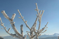Die Alpen im Winterkleid