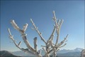 Die Alpen im Winterkleid