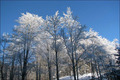 Die Alpen im Winterkleid