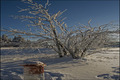 Sonnenschein und Abendstimmung im Winter