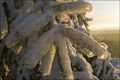 Sonnenschein und Abendstimmung im Winter