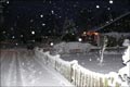 Der Dezember 2008 in Bildern