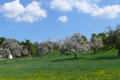 Das Wetterjahr 2008 in Bildern