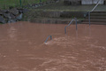 Nach dem Sturm die Flut
