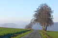 Januar mit vielen Gesichtern