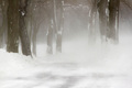 Starke Schneeverwehungen