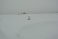 Starke Schneeverwehungen