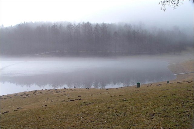 Nebel und auch Sonne