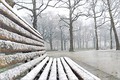Märzwintergruß in Frankreich