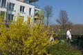 Perfektes Freizeitwetter