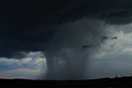Teils heftige Hagelgewitter