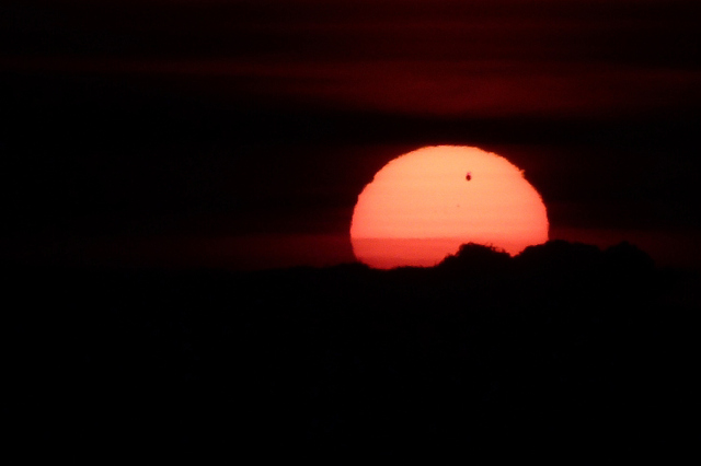 Venus vor der Sonnenscheibe