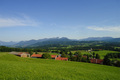 Sonnenschein und Junischauer