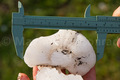 Gewitter mit Riesenhagel
