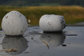 Gewitter mit Riesenhagel