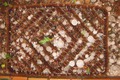 Gewitter mit Riesenhagel