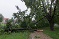 Unwetter mit Sturm und Hagel