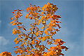 Im Zauber der Herbstfarben