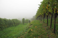 Im Zauber der Herbstfarben