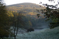 Reif und Nebel am Morgen