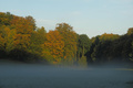 Reif und Nebel am Morgen