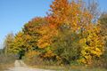 Goldene Oktobertage