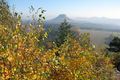 Goldene Oktobertage