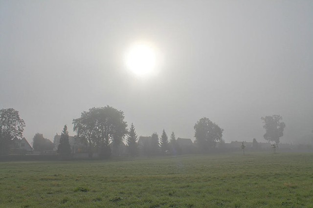 Der Reiz des Nebels