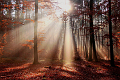 Der Oktober in Bildern