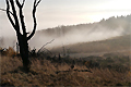 Zwischen Nebel und Sonne
