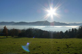 Der November in Bildern