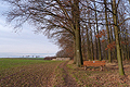 Frühlingsluft an Heiligabend
