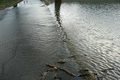 Weiter Hochwasser im Westen