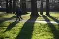 Frühling im Januar