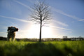 Frühling im Januar