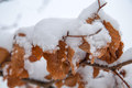 Wintertraum im Erzgebirge