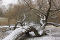 Nach Glatteis nun Schnee