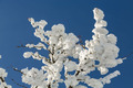 Sonniger Wintertag im Schnee