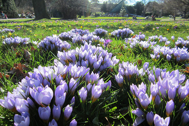 Der Februar 2014 in Bildern