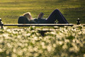 Der Februar 2014 in Bildern