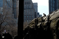 Turbo-Frühling in New York