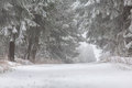 Schnee im Erzgebirge