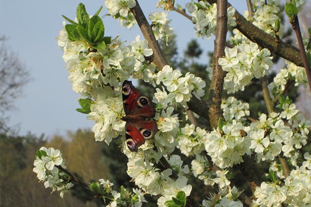 Freundlicher Osterstart