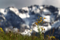 Sonne im Westen, Regen im Osten