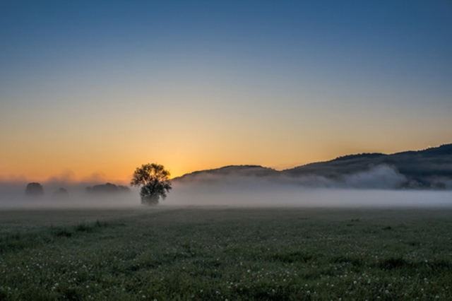 Nebelschwaden und Morgensonne
