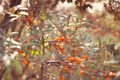 Herbstliche Ruhe an der Ostsee