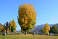 Der Oktober 2014 in Bildern