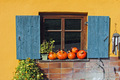 Der Oktober 2014 in Bildern