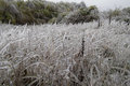 Extremer Eisregen in Bulgarien
