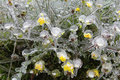 Extremer Eisregen in Bulgarien